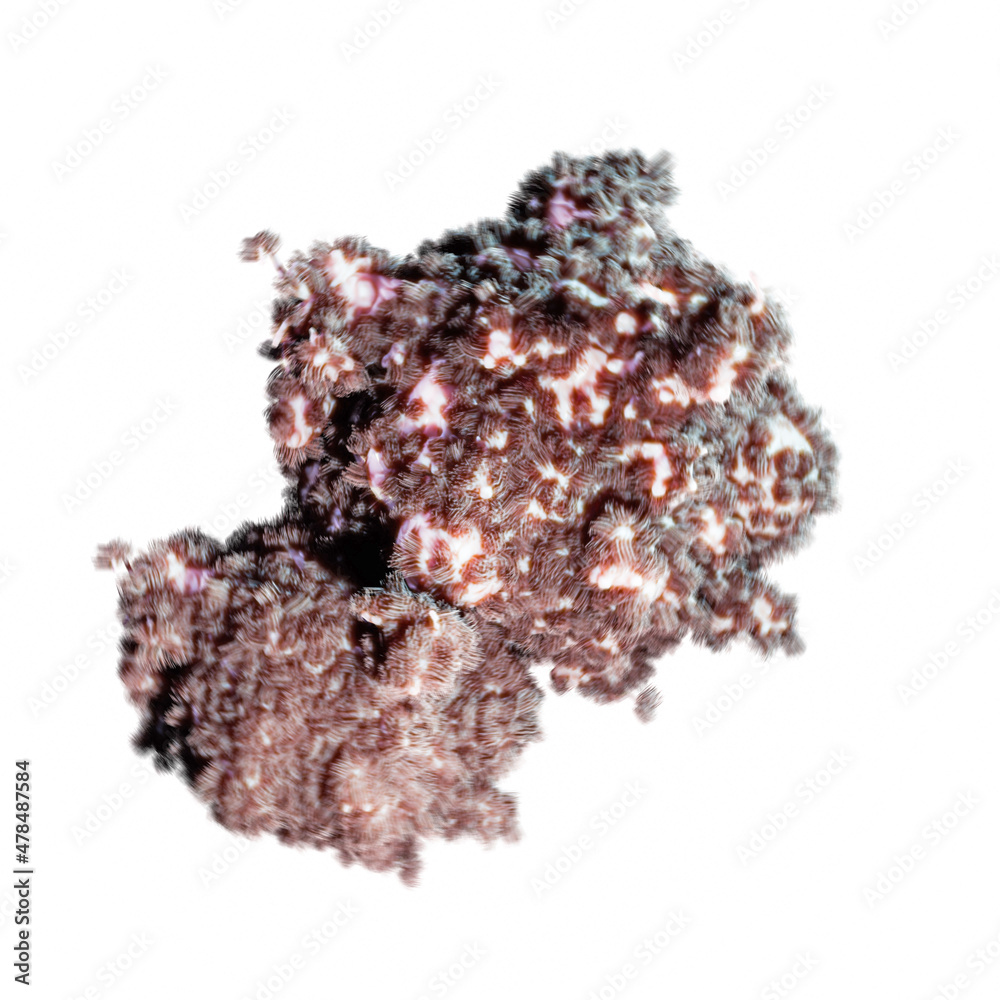 virus isolated on white virus isolated on white