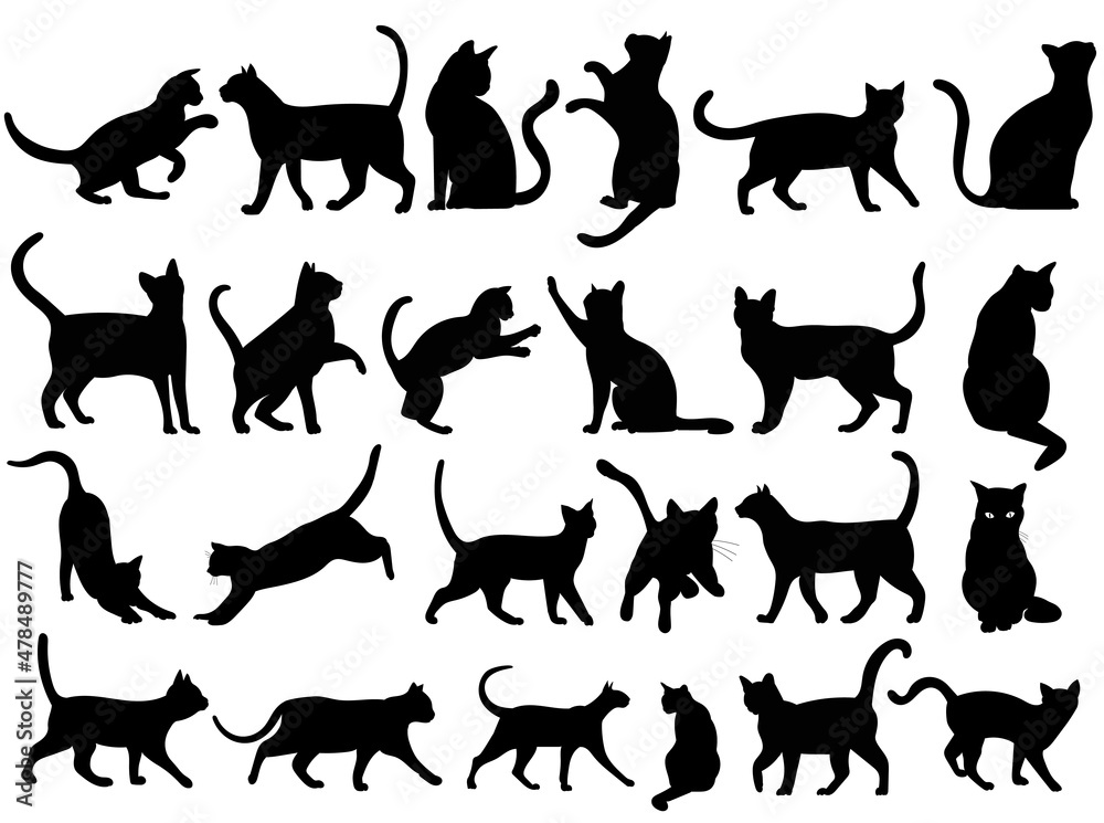 cats, set, black silhouette, isolated, vector