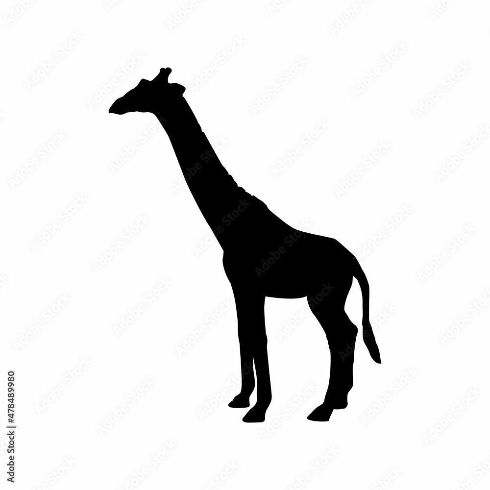Fototapeta premium Giraffe vector icon, giraffe silhouette design