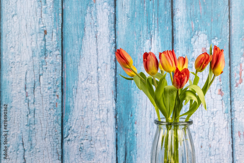 beautiful tulips flower with old wooden wall