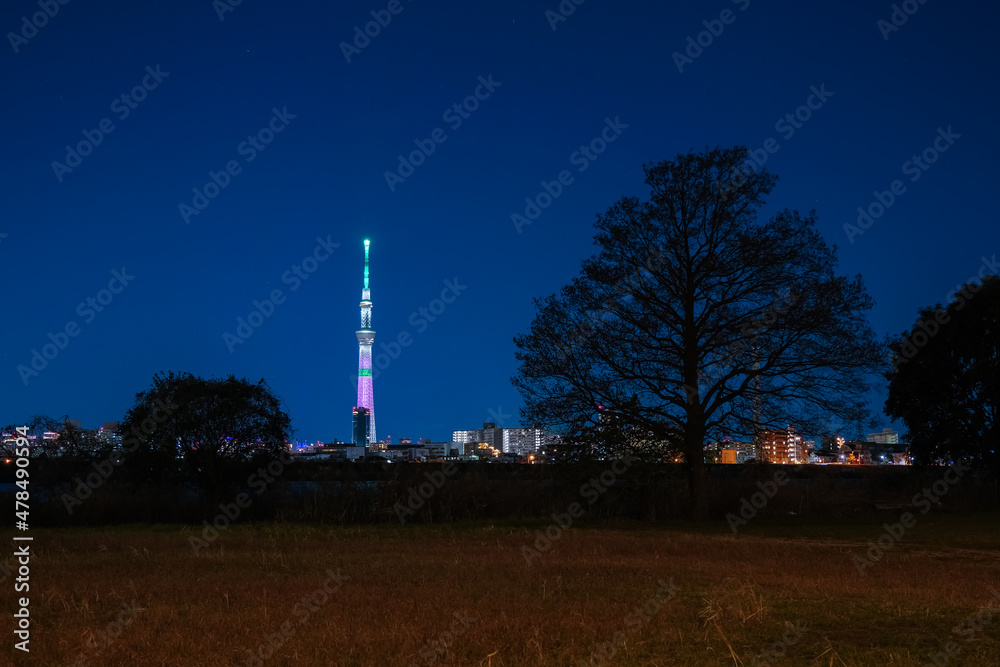 Fototapeta premium 東京スカイツリー 特別ライティング（鬼滅の刃、竈門禰豆子カラー 2021年12月）と荒川河川敷