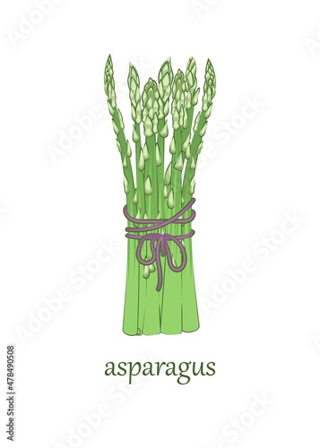 Food. A bunch of asparagus on a white background. Sample.