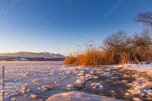 Frozen Lake “Simssee” with Reeds during Sunrise in Bavaria, Germany, Europe © wagner_md
