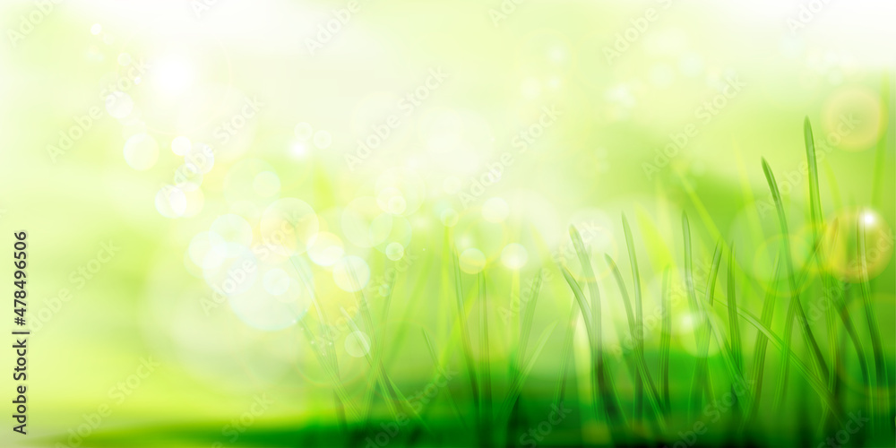Green meadow in strong sunlight. Fresh grass. Nature background. Spring landscape. Abstract vector illustration.