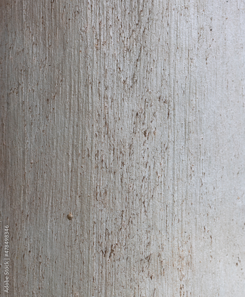 Obraz premium Real nature texture great for background