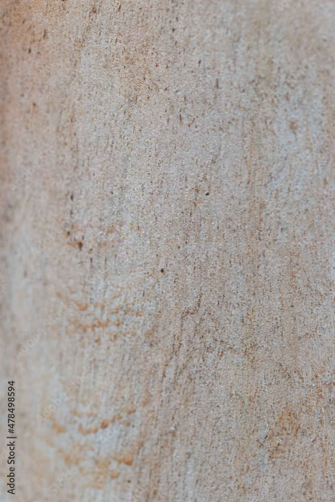Real nature texture great for background Real nature texture great for background