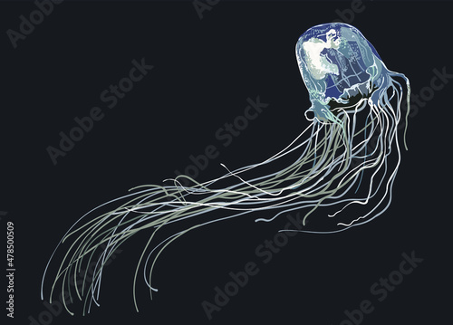 Box jellyfish pictures, dangerous, tentakel, art.illustration, vector