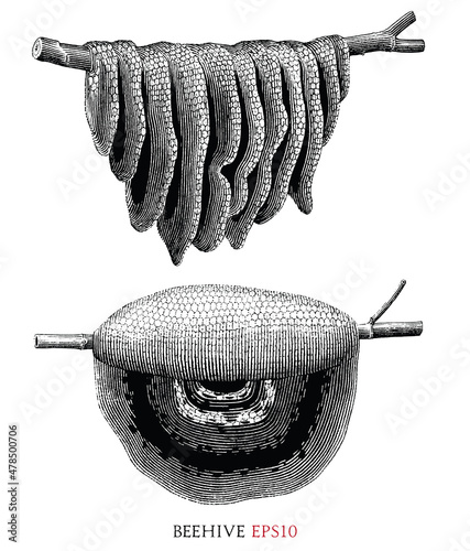 Beehive hand draw vintage engraving style black and white clipart