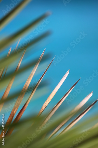 Mallorca