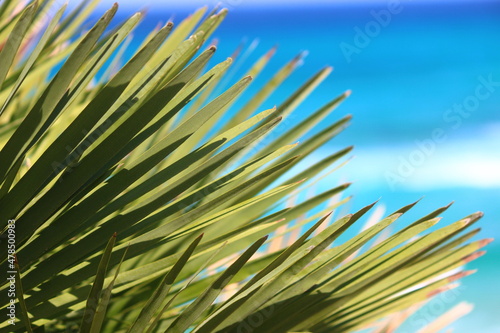 Mallorca