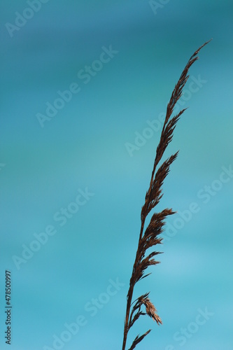 Mallorca