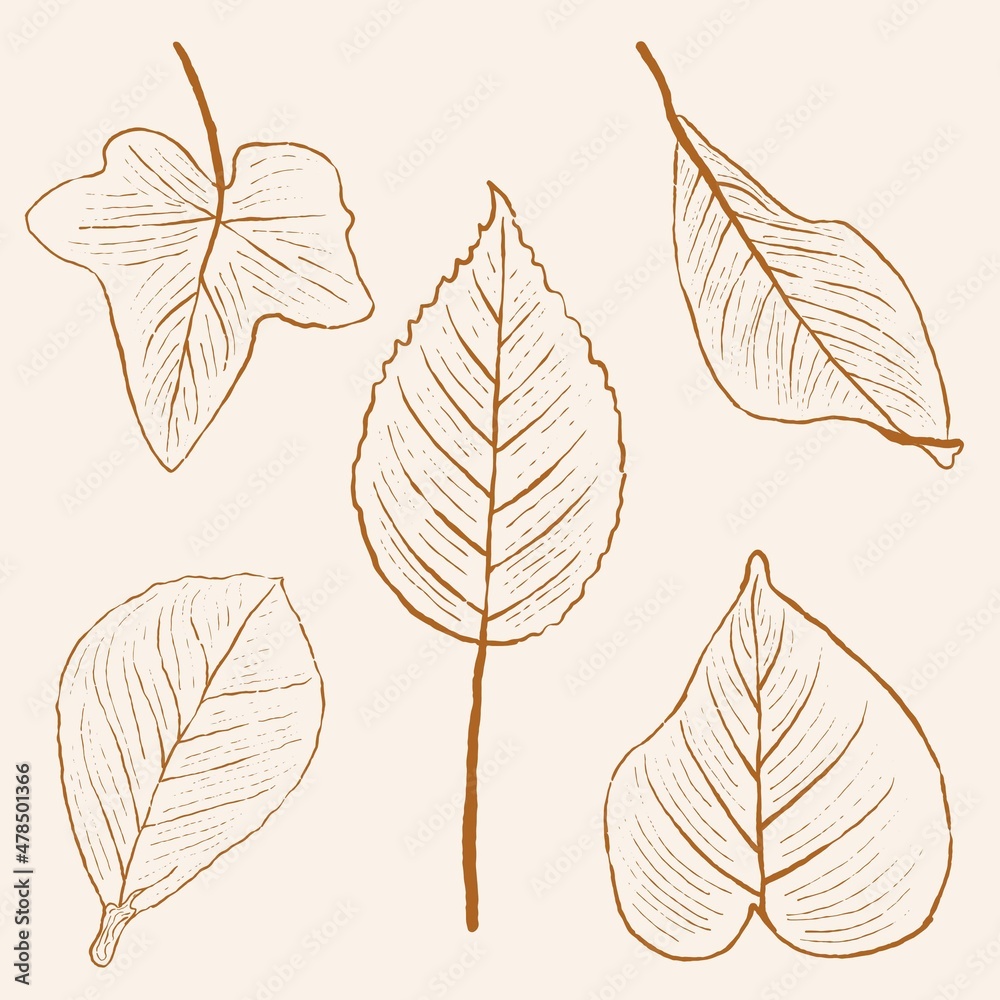 hand drawn leaf and flower line art, hand drawn nature painting. Free hand sketch illustration.