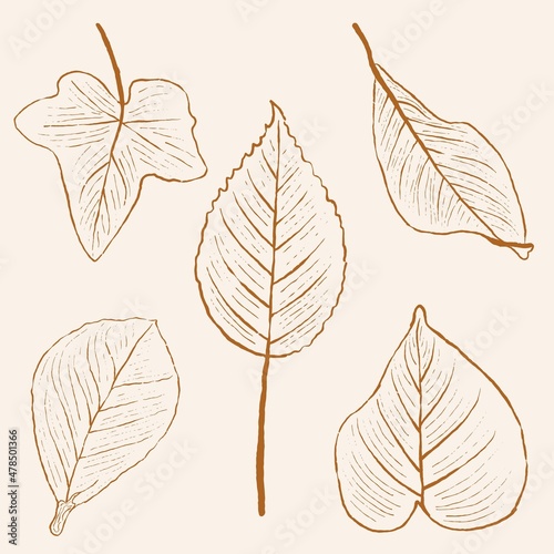 hand drawn leaf and flower line art  hand drawn nature painting. Free hand sketch illustration.