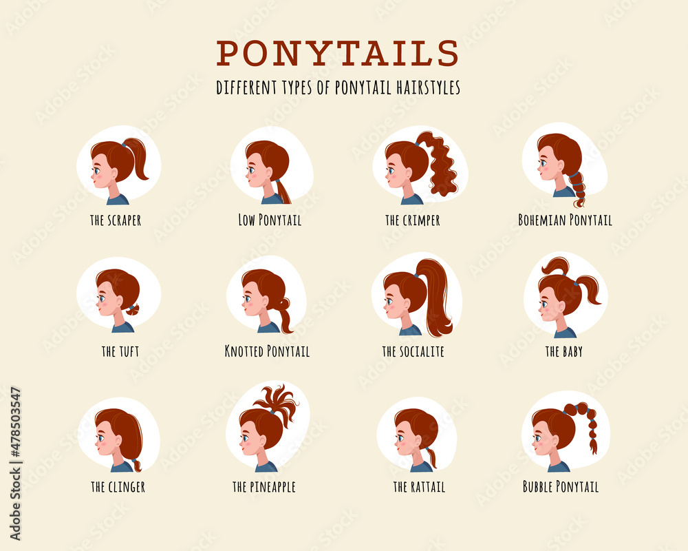 High ponytails on different hair types - showing variations in volume and texture