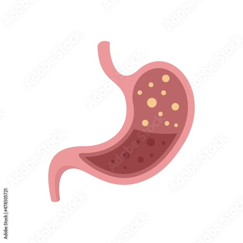 Digestion stomach liquid icon flat isolated vector
