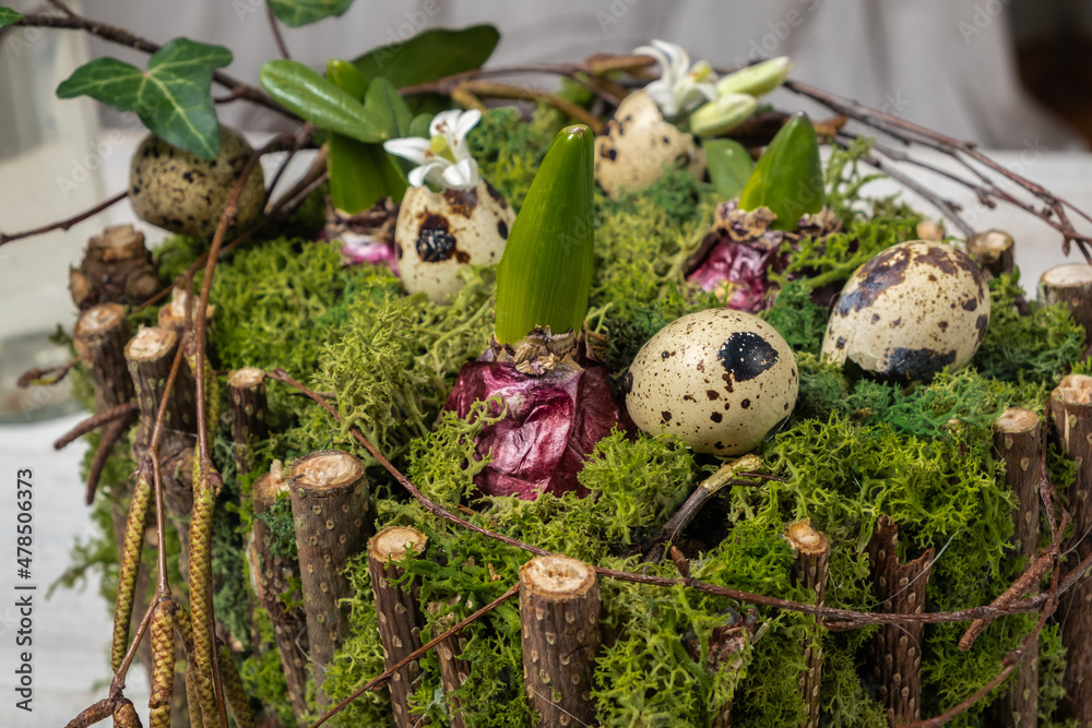 quail eggs in the nest quail eggs in the nest