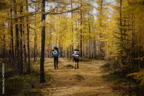 Travelers in the larch forest in autumn © Pavel