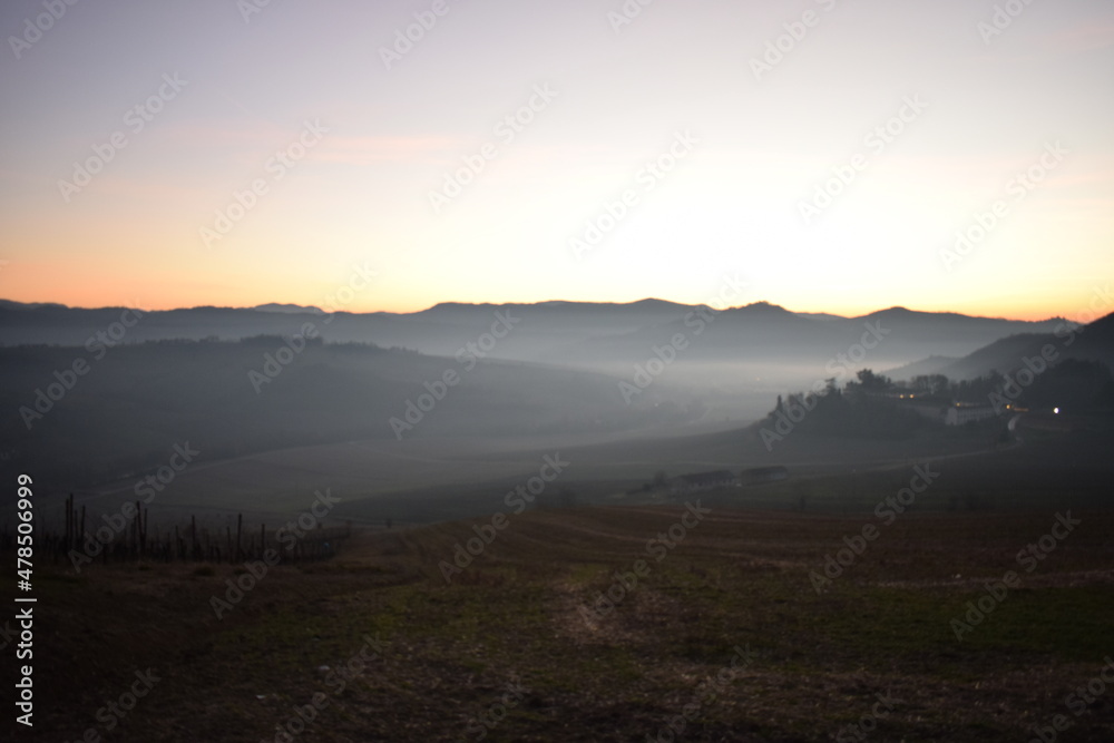 Nebbia in collina in oltrepò pavese