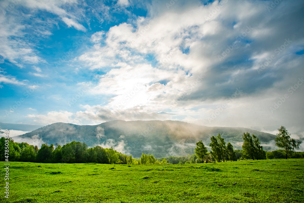 glade covered with grass near the forest and mountains in the morning fog on a warm summer day. the sky is covered with clouds. Mountain landscape in the sunlight. glade covered with grass near the forest and mountains in the morning fog on a warm summer day. the sky is covered with clouds. Mountain landscape in the sunlight.