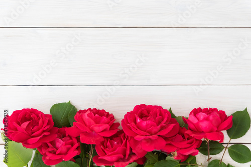 Top view of row of red roses on white wooden background, lots of copyspace. Greetimgs with valintines day, happy birthday, anniversary