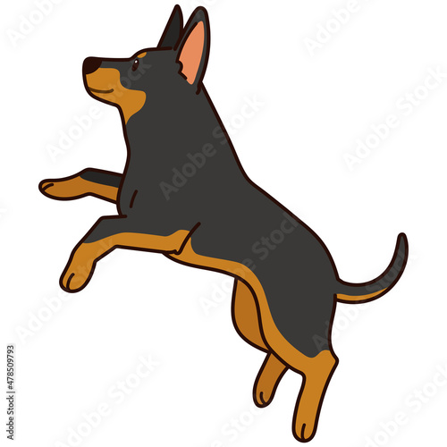 Simple and adorable outlined illustration of Doberman Pinscher jumping