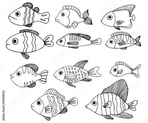 Cute tropical fish - a picture for coloring. Vector linear fish - animal design element. Aquarium fish - pet. Outline. hand drawing