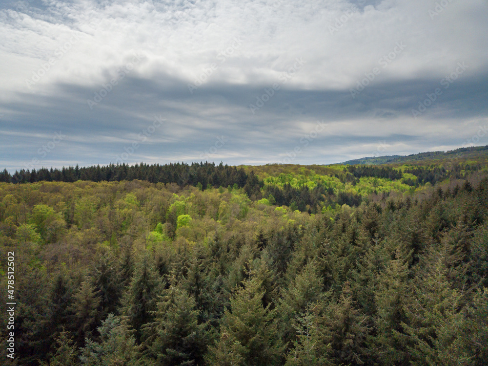 Aerial drone view of a german forest, Rheingau Hessen