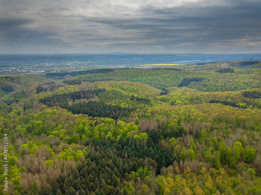 Aerial drone view over autumn forest. Colorful trees in the wood, Hessen Germany