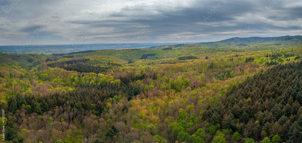 Aerial drone view over autumn forest. Colorful trees in the wood, Hessen Germany