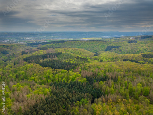 Aerial drone view over autumn forest. Colorful trees in the wood, Hessen Germany © Tobias