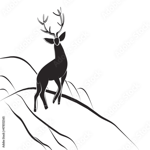 Proud deer with large antlers stands on hillside