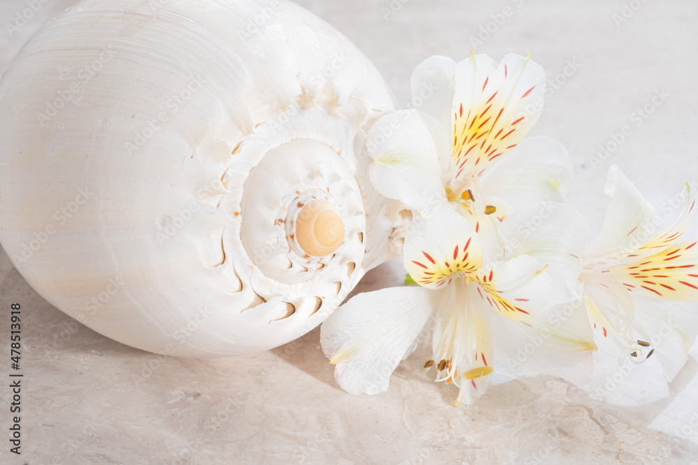 Background with seashell and flowers on marble Background with seashell and flowers on marble
