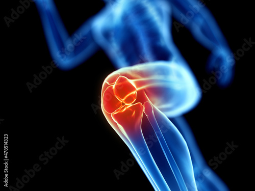 3d rendered illustration of a joggers knee photo