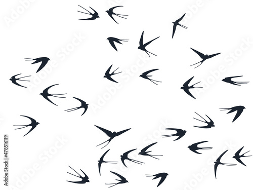 Flying swallow birds silhouettes vector illustration. Nomadic martlets group isolated on white.