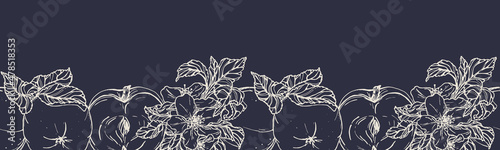 Vector horizontal seamless border with hand darwn apples and apple blossom. Eps 10 fruits backdrop.  Line-art botanical illustration