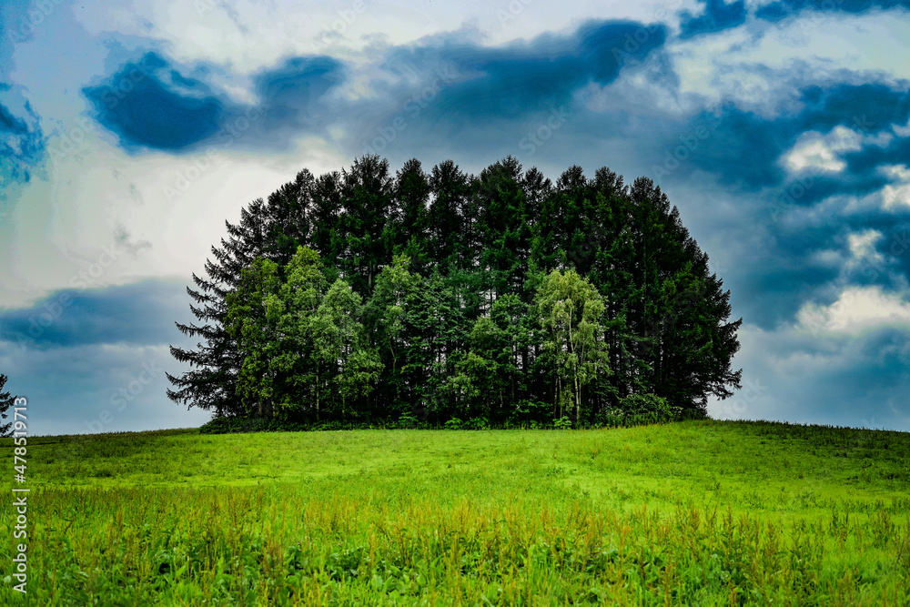 Obraz premium マイルドセブンの丘（北海道美瑛町）