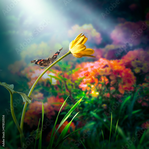 Butterfly sitting on yellow ficaria Flower in Fantasy magical garden in enchanted fairy tale dreamy Forest, fairytale glade on mysterious background, elven magic woods in darkness with rays of light. photo