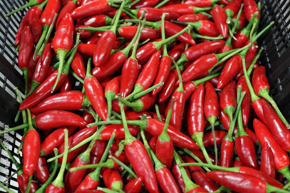 Heap of red chili in a basket