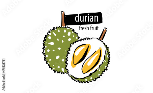 Drawn vector durian on a white background