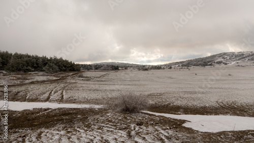 landscape with spring snow