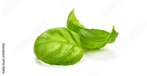Organic leaves of basil, isolated on white background.