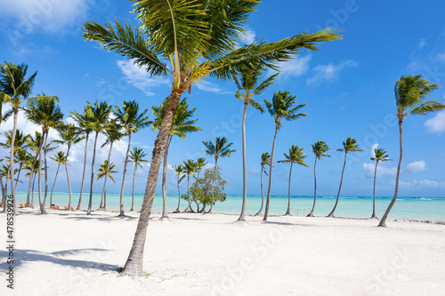 Juanillo beach with palm trees  white sand and turquoise caribbean sea. Cap Cana is a tourist area in Dominican Republic