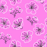 Blooming sakura seamless pattern Hand drawn cherry