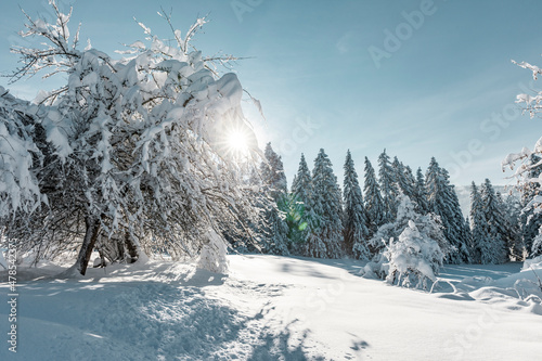 Winterlandschaft im Allgäu
