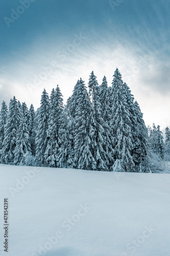 Winterlandschaft im Allgäu