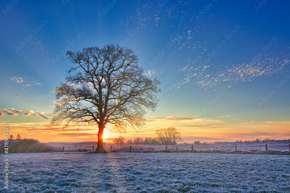Sonnenaufgang an der Mehde in Zeven
Sonnenaufgang an der Mehde in Zeven