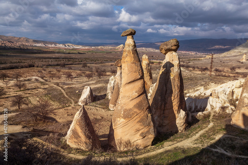 Mushrooms in Cappadocia