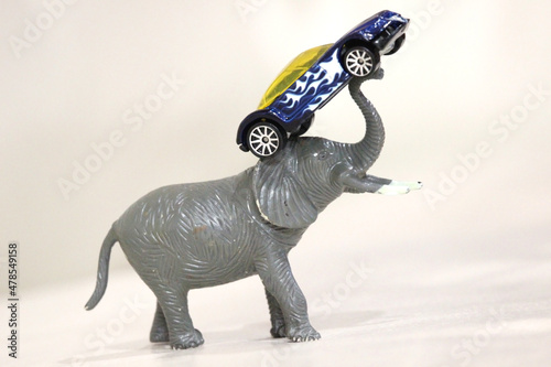 Elephant lifting a car