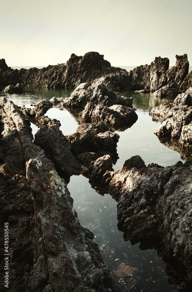 Fototapeta premium 제주도 풍경