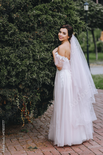 A beautiful brunette bride in a white dress stands in nature near a green cypress. Wedding portrait.